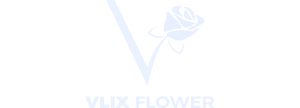 Vlix Flower